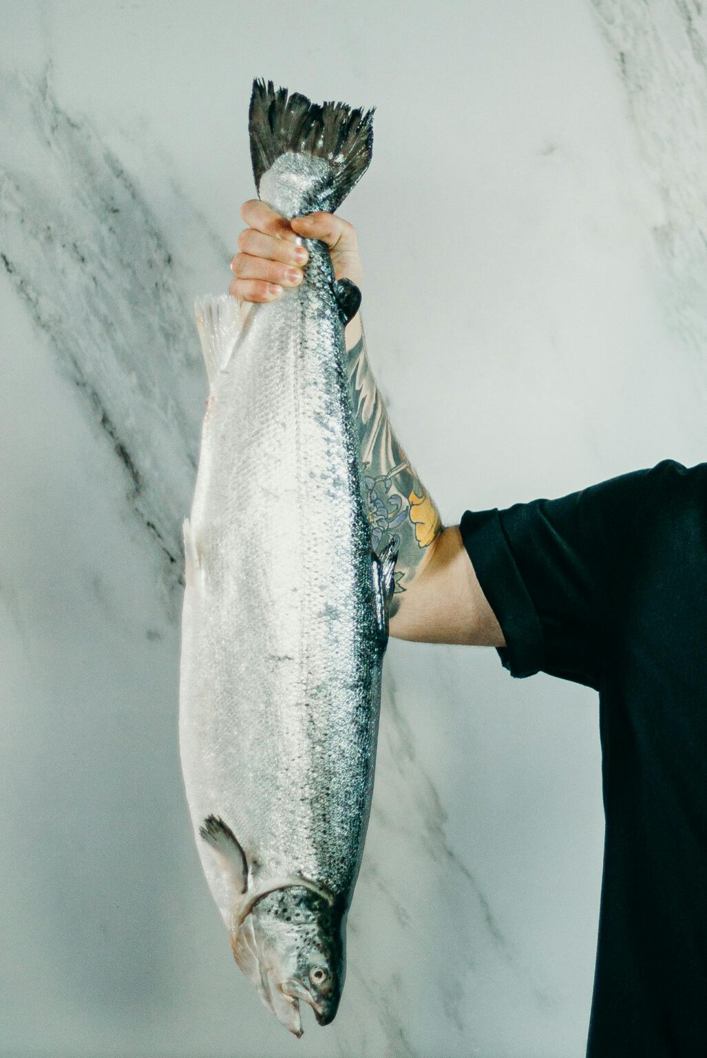 Tesiger Nordic – Wholesale of high-quality fish & meat